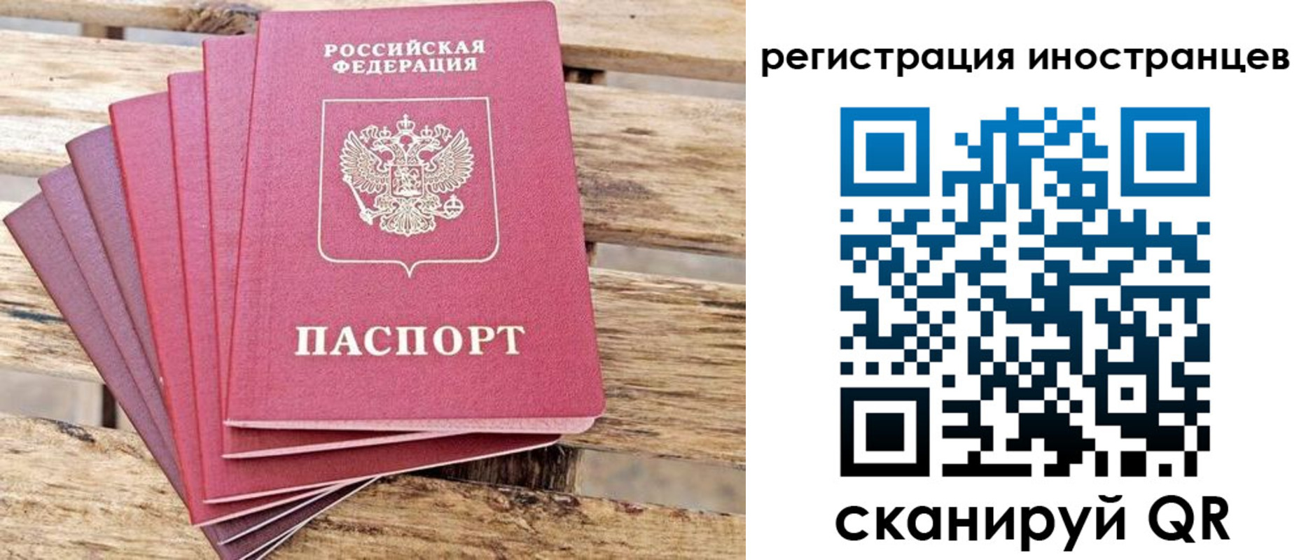 временная прописка в Курской области